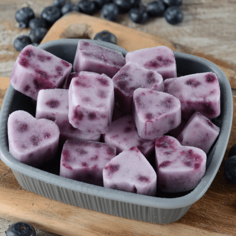 Frozen Chicken Blueberry Pup Pops Recipe